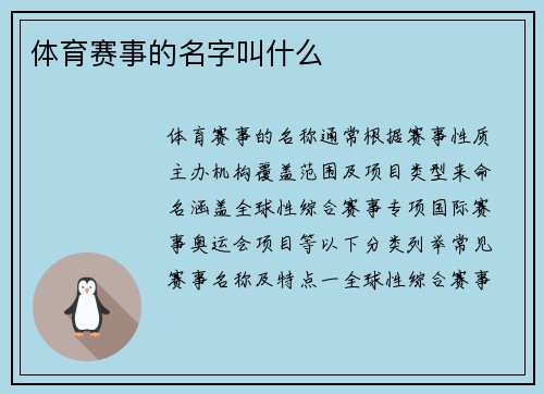 体育赛事的名字叫什么